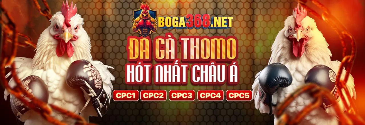 Hình ảnh chính về các nhà cung cấp trò chơi tại 55vin win